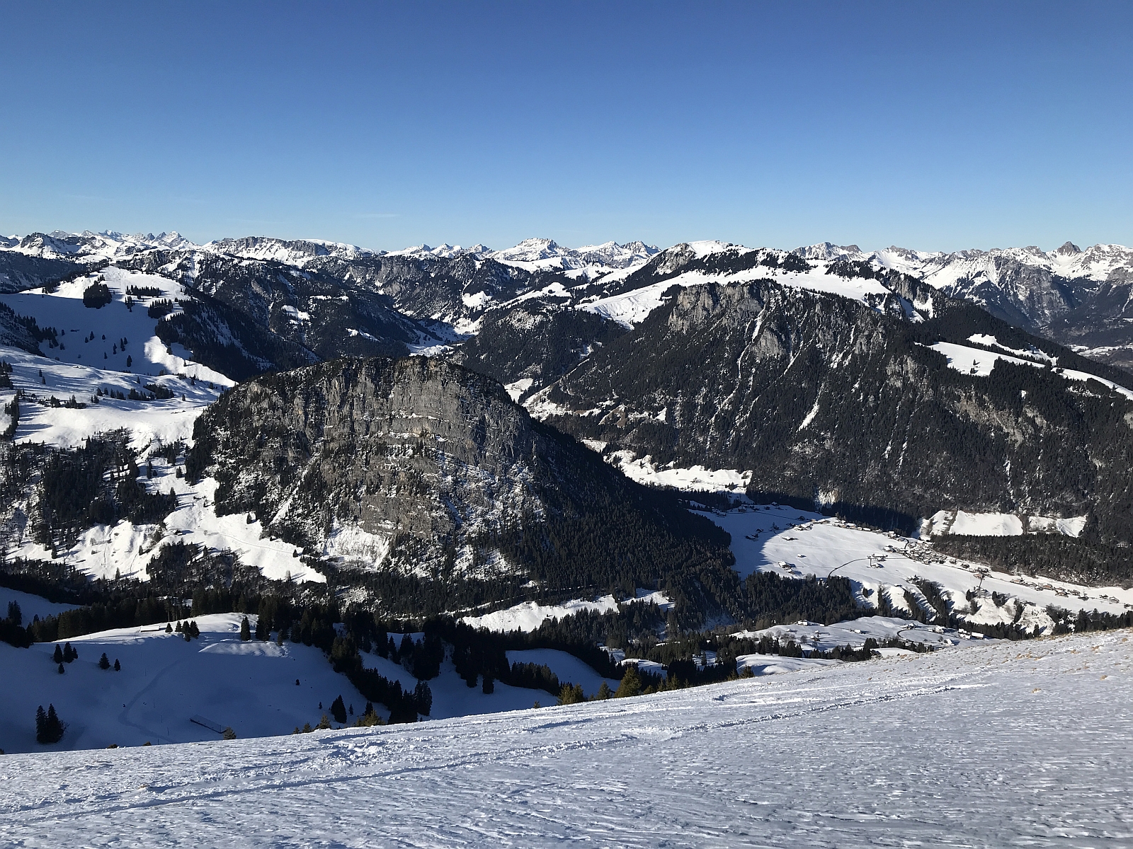 4_15. Jan 22_A JO Skitour Ochse Diemtigtal (103).jpg